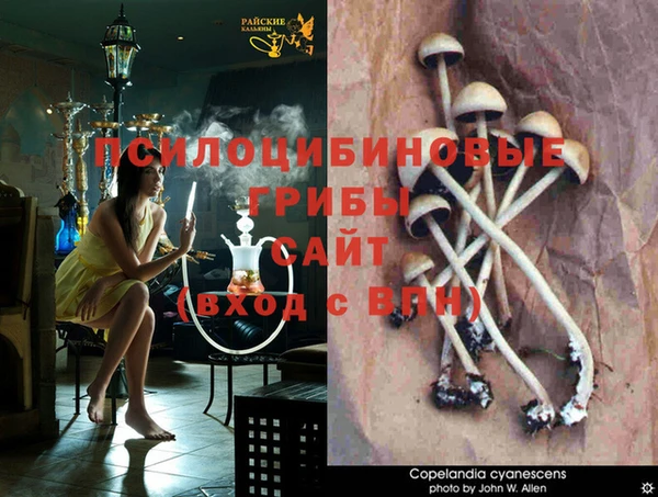 амф Абинск