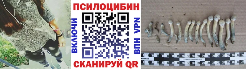 Галлюциногенные грибы ЛСД Тында