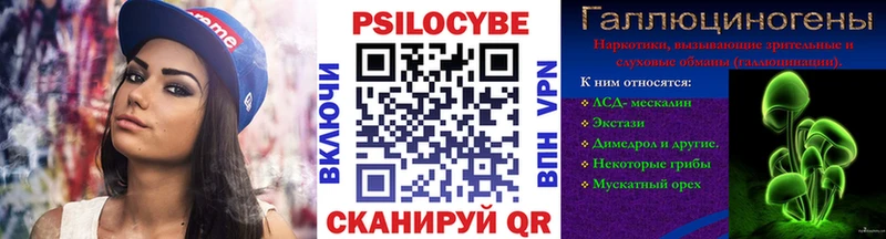 купить наркоту  Тында  Галлюциногенные грибы Psilocybe 