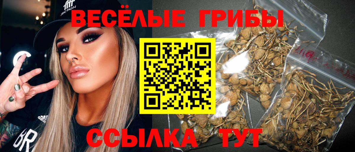 Галлюциногенные грибы Cubensis Тында